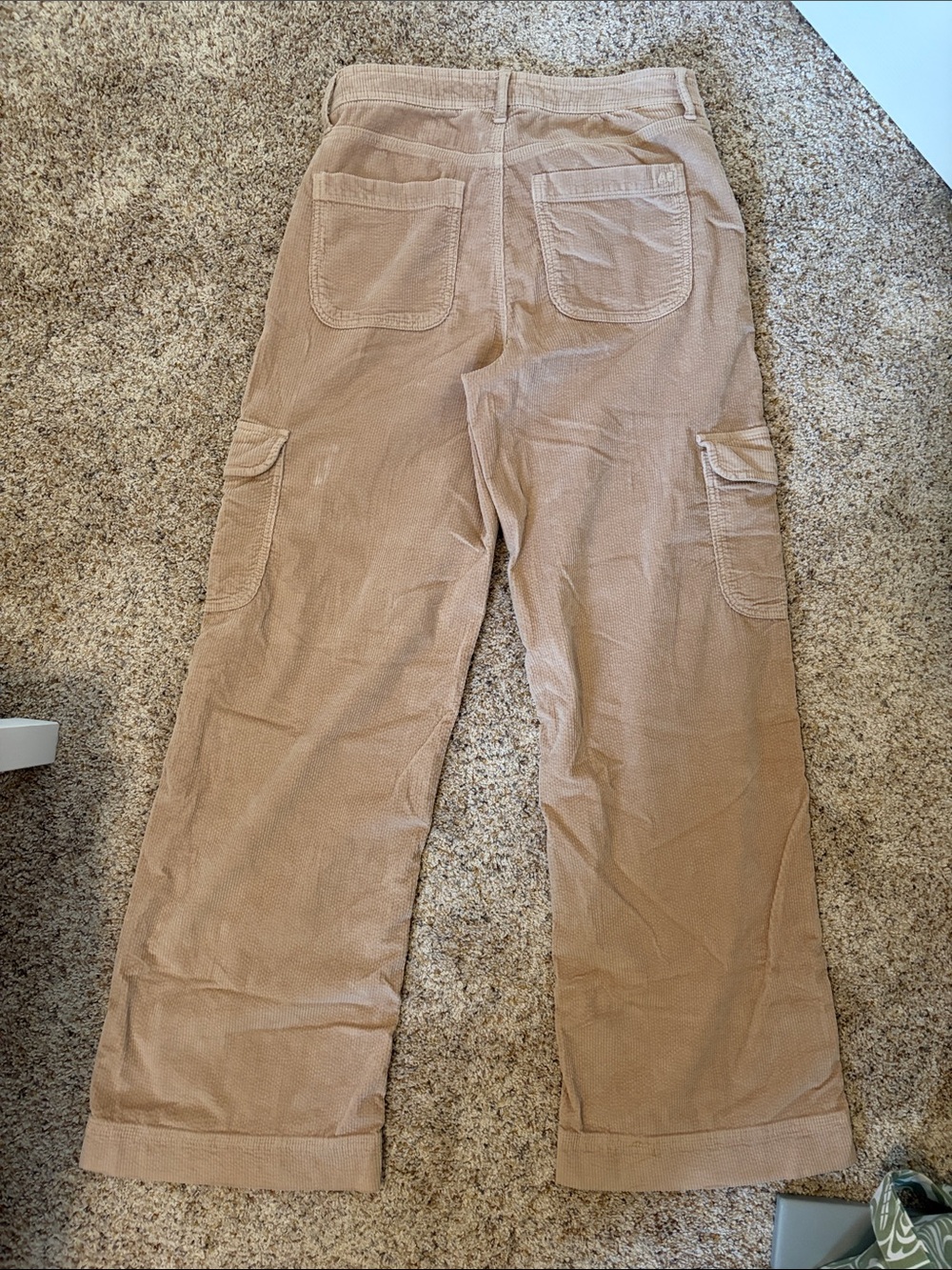 American Eagle Outfitters Beige/Tan Cargo Corduroy Pants (8 Long)